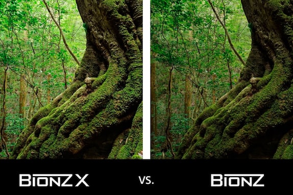 Giant redwood image with moss and BIONZ X logos